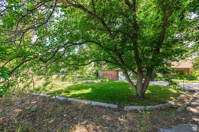 190 N 200 E, Pleasant Grove, UT 84062 - view of grassy yard
