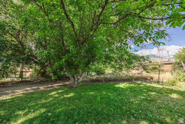 190 N 200 E, Pleasant Grove, UT 84062 - view of green lawn