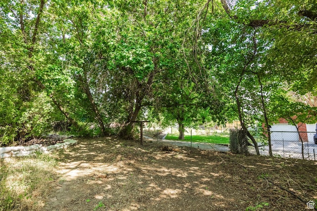 190 N 200 E, Pleasant Grove, UT 84062 - view of yard