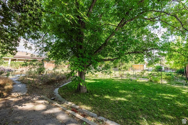 190 N 200 E, Pleasant Grove, UT 84062 - view of yard