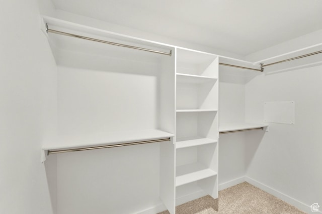 736 W Blue Magic Ln S Unit R201, Midvale, UT 84047 - spacious closet featuring light colored carpet