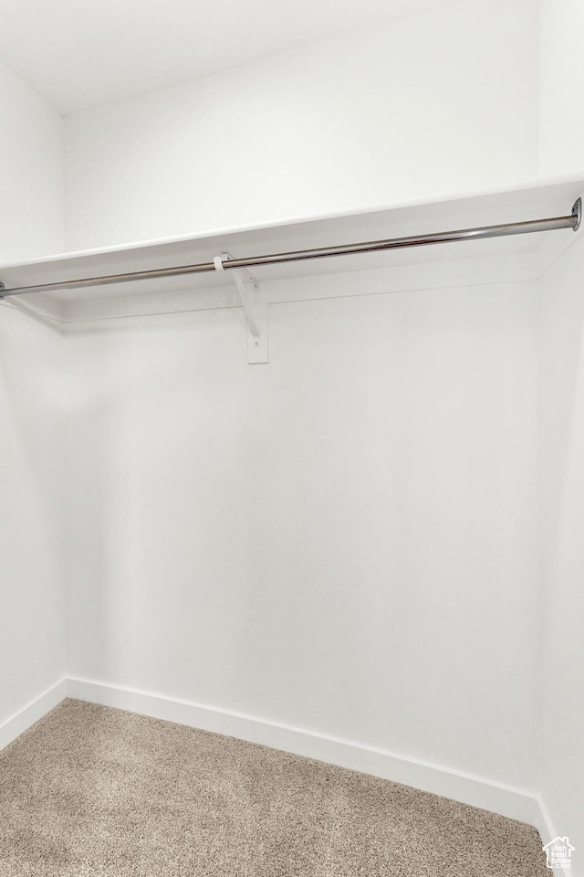 736 W Blue Magic Ln S Unit R201, Midvale, UT 84047 - spacious closet with carpet flooring