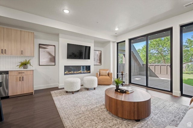 3840 N 4975 E Unit A104, Eden, UT 84310 - living room with plenty of natural light, dark wood-style floors, recessed lighting, and a glass covered fireplace