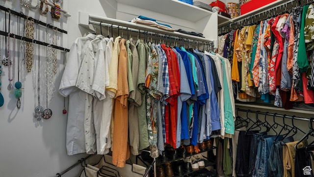6069 W Franciscotti Dr Unit 473, South Jordan, UT 84009 - view of spacious closet