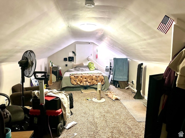 3060 S 2500 E, Vernal, UT 84078 - bedroom featuring carpet floors and lofted ceiling