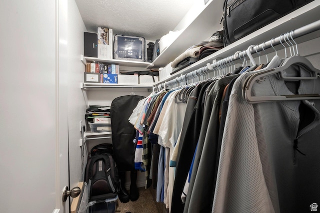 4018 W Cypress, Cedar Hills, UT 84062 - spacious closet featuring carpet