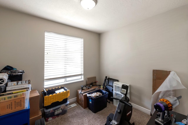 4018 W Cypress, Cedar Hills, UT 84062 - miscellaneous room featuring healthy amount of natural light and carpet flooring