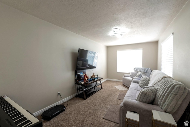 4018 W Cypress, Cedar Hills, UT 84062 - living area featuring light carpet and a textured ceiling
