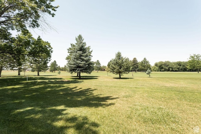 48 N White Barn Dr W, Pleasant View, UT 84414 - view of grassy yard