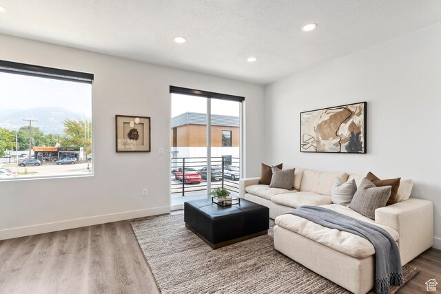 32 W 400 S, Bountiful, UT 84010 - living room featuring wood finished floors and recessed lighting