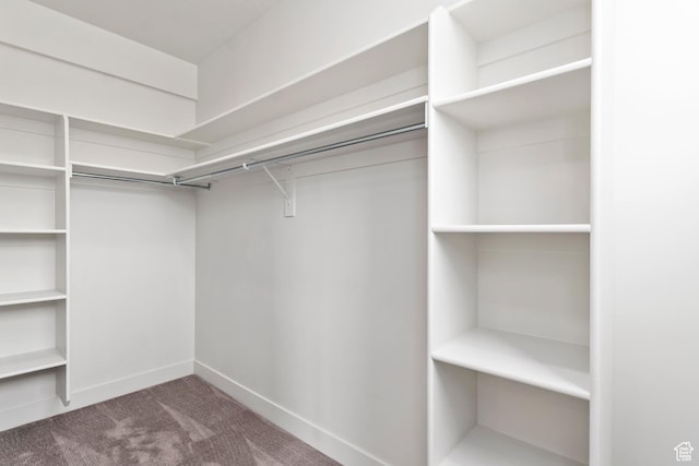 32 W 400 S, Bountiful, UT 84010 - walk in closet featuring carpet