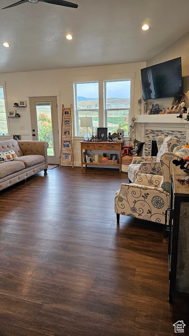 1268 E 300 S, Smithfield, UT 84335 - living area featuring healthy amount of natural light, wood finished floors, recessed lighting, ceiling fan, and a textured ceiling