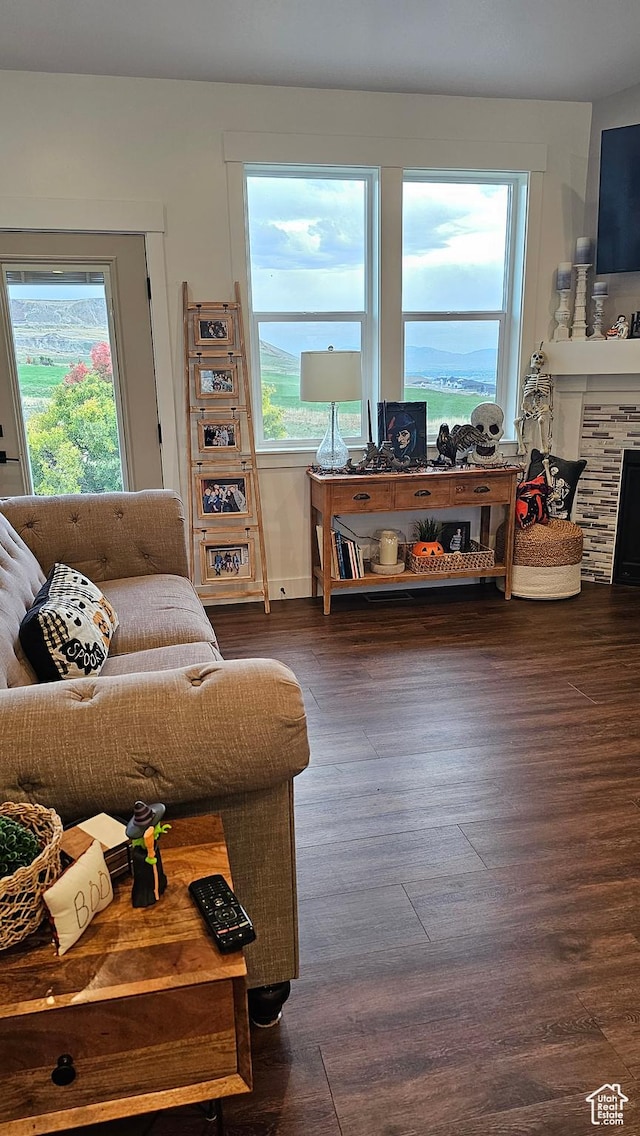 1268 E 300 S, Smithfield, UT 84335 - living area with plenty of natural light, wood finished floors, and a fireplace