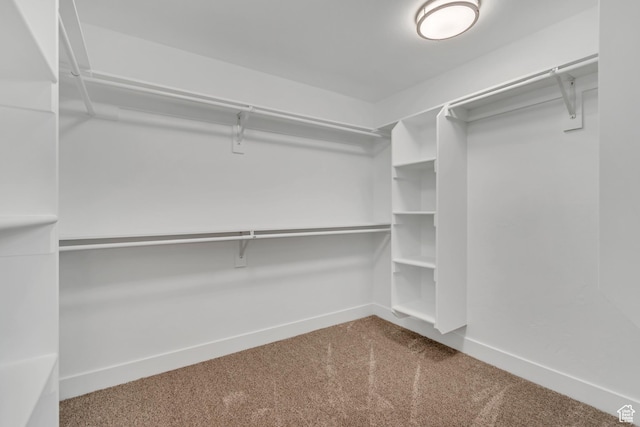 13749 S Crimson Patch Way, Riverton, UT 84096 - walk in closet with carpet