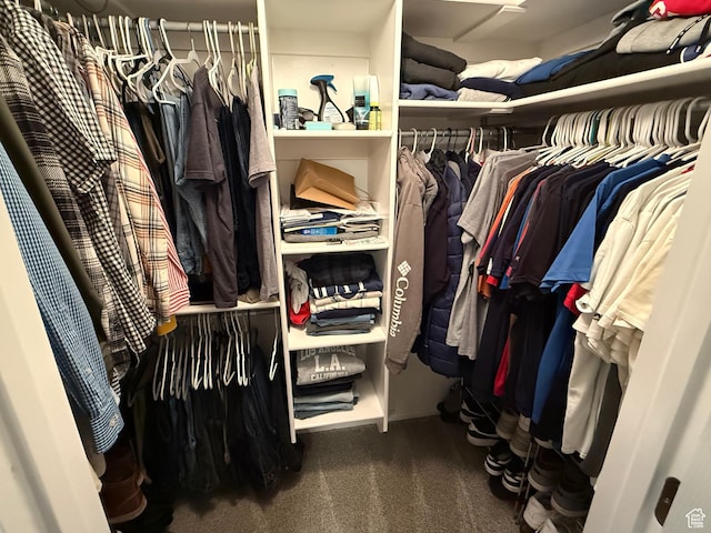 1079 E 850 S, Spanish Fork, UT 84660 - walk in closet featuring carpet flooring