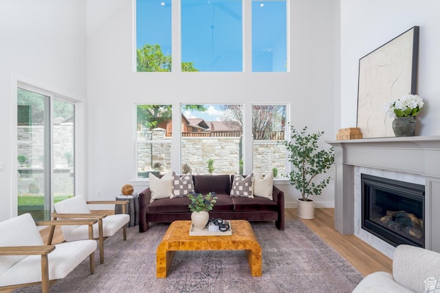 2960 N 1080 W, Lehi, UT 84043 - living room with a high ceiling, wood finished floors, and a glass covered fireplace