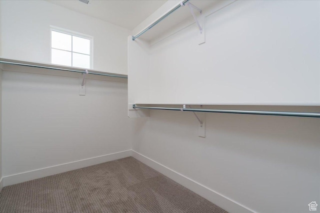 2960 N 1080 W, Lehi, UT 84043 - spacious closet with carpet