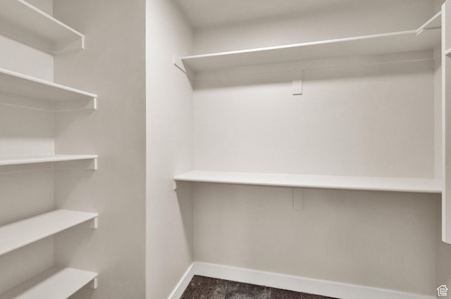 1182 N Berra Blvd, Tooele, UT 84074 - walk in closet with dark carpet