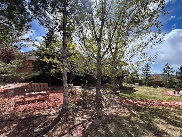 4140 W 975 S, Cedar City, UT 84720 - view of yard