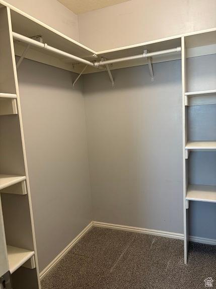 1579 W 2050 N, Clinton, UT 84015 - walk in closet featuring carpet floors