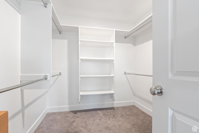8687 N Oakmont Aly, Eagle Mountain, UT 84005 - walk in closet featuring carpet