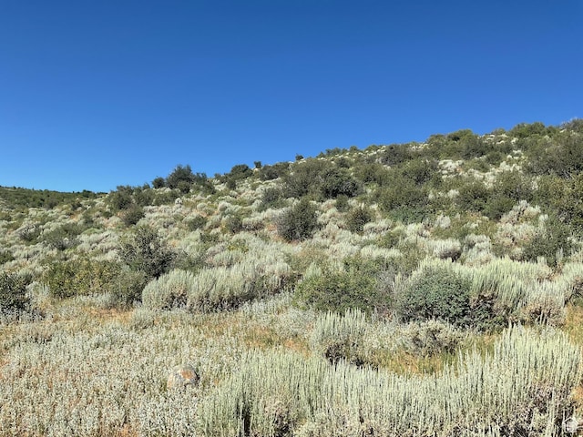 Saint Charles, ID 83272 - photo 12