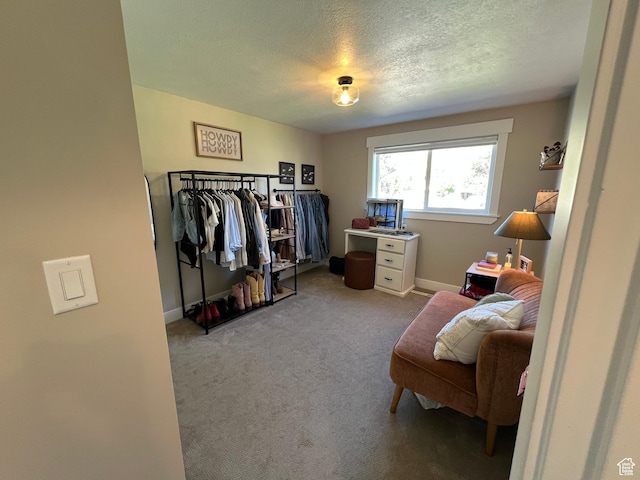 409 N 200 W, Brigham City, UT 84302 - bedroom featuring carpet floors and a textured ceiling