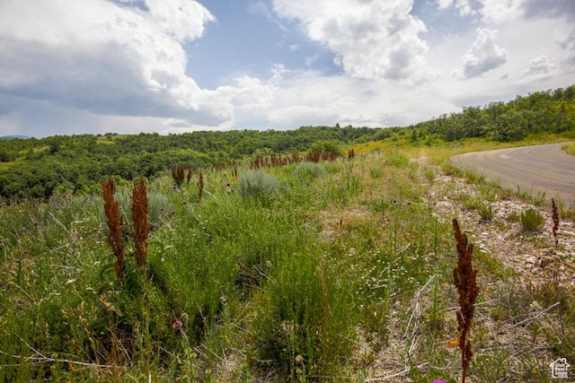 6839 E Summit Peak Cir Unit 48, Huntsville, UT 84317