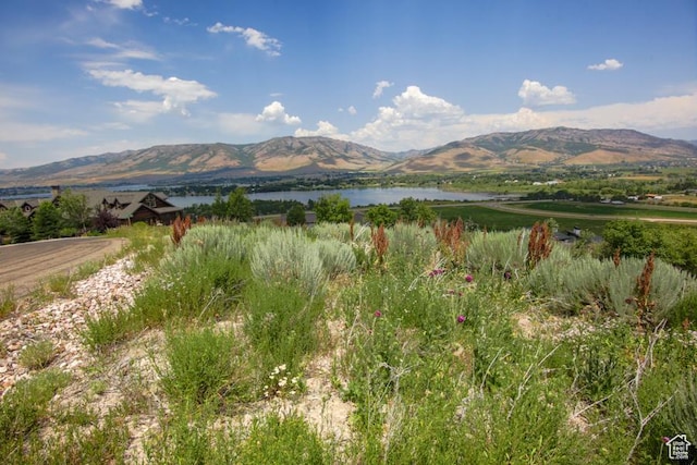 6839 E Summit Peak Cir Unit 48, Huntsville, UT 84317