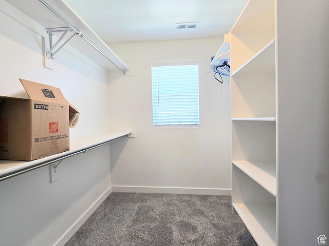 5149 W Arley Ct, Herriman, UT 84096 - spacious closet with carpet floors