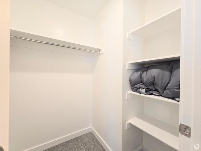 5149 W Arley Ct, Herriman, UT 84096 - walk in closet featuring carpet flooring