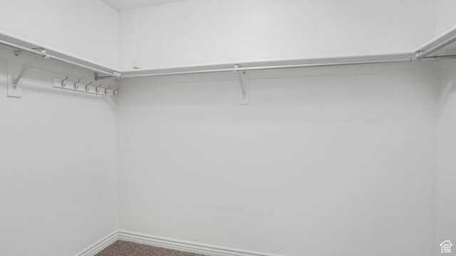 1238 S 1420 W, Woods Cross, UT 84087 - walk in closet with carpet