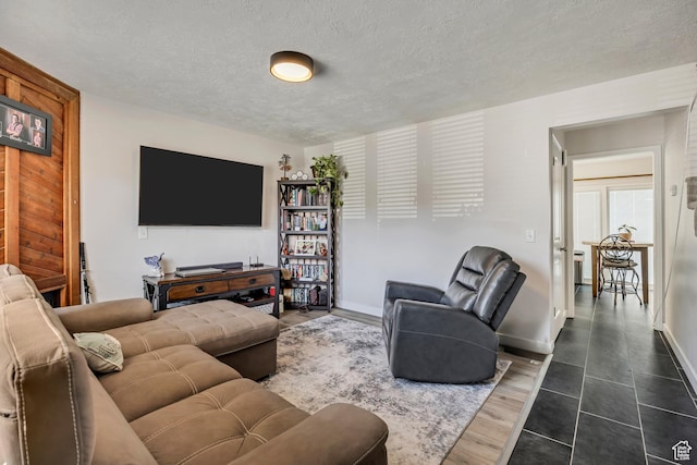 857 E 575 N, Layton, UT 84041 - living area with a textured ceiling and dark wood finished floors