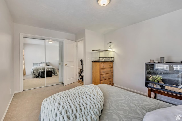 857 E 575 N, Layton, UT 84041 - bedroom with carpet and a closet