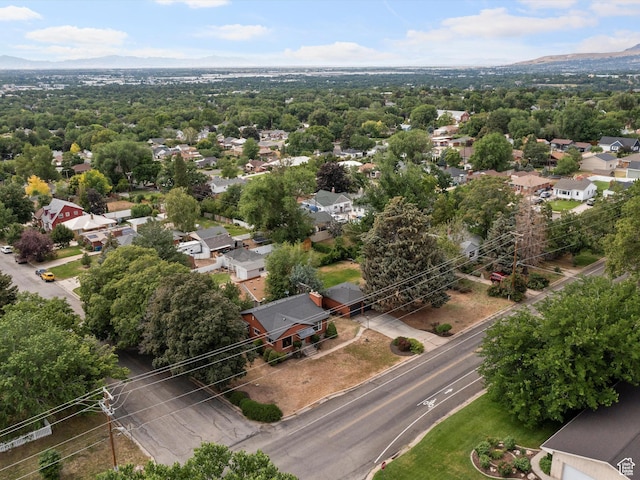 2335 Fillmore Ave, Ogden, UT 84401 - photo 37