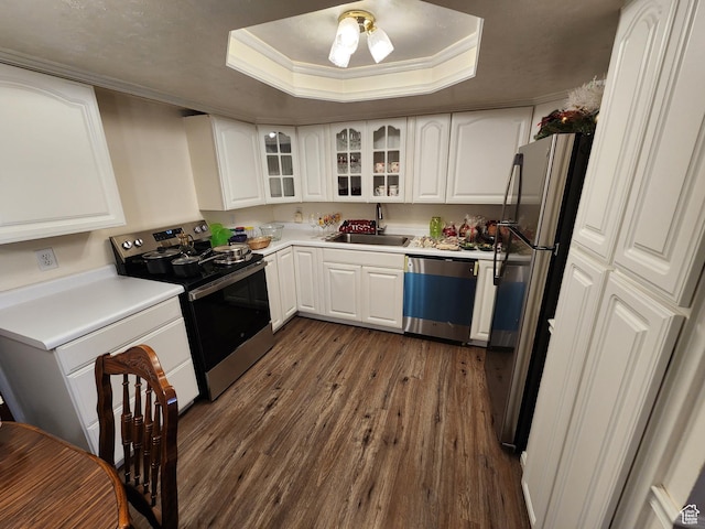 8857 S Capella Way E, Sandy, UT 84093 - kitchen featuring stainless steel appliances, a tray ceiling, dark wood-style floors, white cabinetry, and crown molding