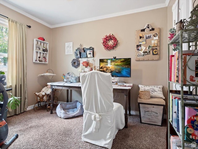 344 E Utopia Ave, South Salt Lake, UT 84115 - office area with carpet and crown molding