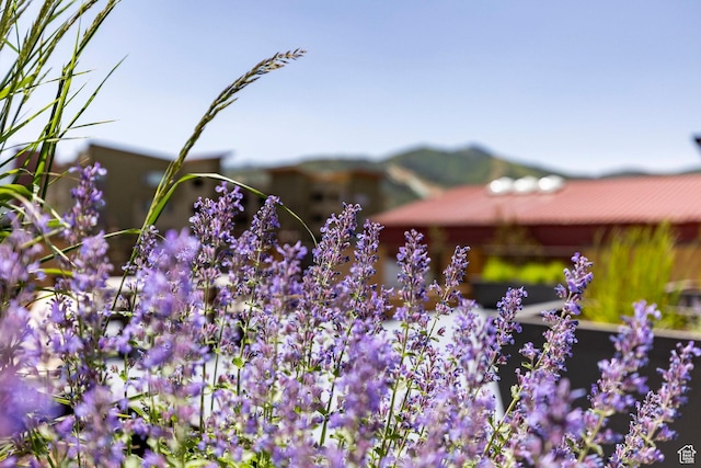 6169 Park Ln S Unit 36, Park City, UT 84098 - exterior view