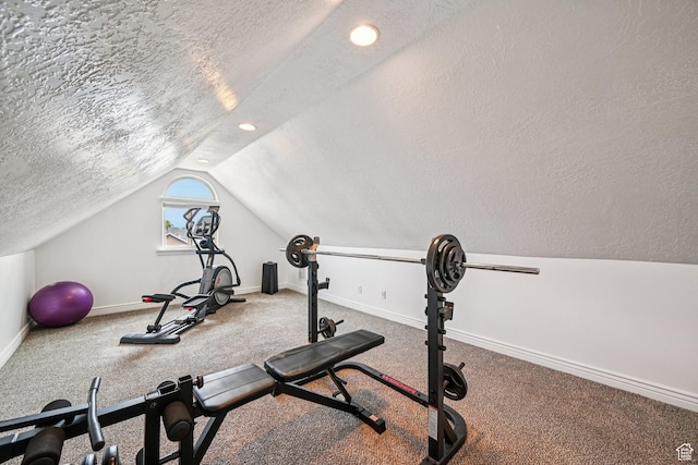 3195 N 1350 W, Pleasant View, UT 84414 - workout area featuring a textured ceiling, lofted ceiling, and carpet flooring