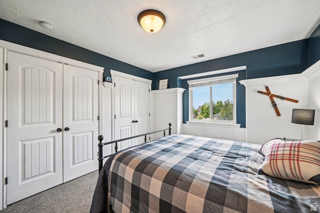3195 N 1350 W, Pleasant View, UT 84414 - bedroom with two closets, carpet, and a textured ceiling