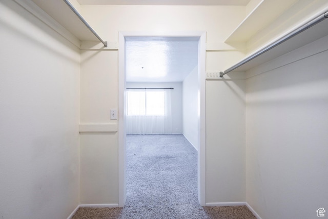 6955 N 2200 W Unit 4E, Park City, UT 84098 - walk in closet featuring carpet flooring