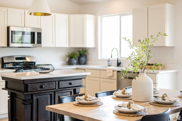 383 E Manti Dr S, Draper, UT 84020 - kitchen with stainless steel appliances, white cabinetry, and dark cabinetry