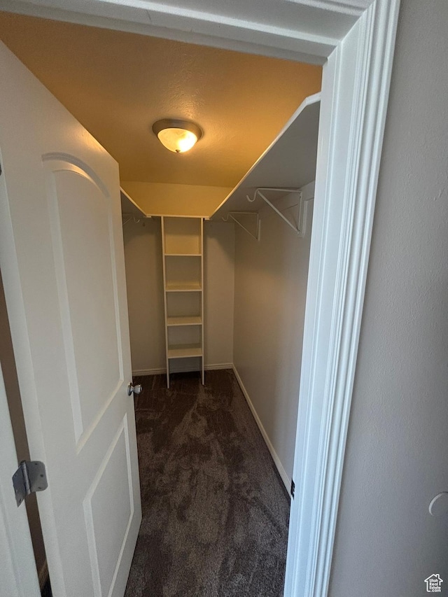 576 S 400 E, Santaquin, UT 84655 - walk in closet featuring dark carpet