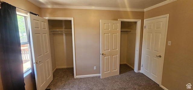 660 N 300 E, Price, UT 84501 - unfurnished bedroom featuring carpet floors, ornamental molding, and multiple closets