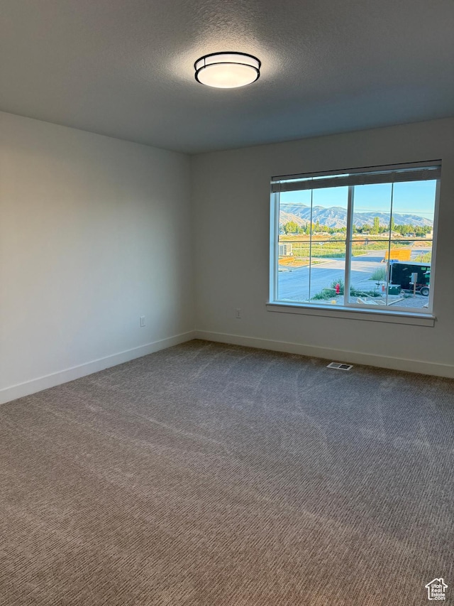 218 W 710 N, Smithfield, UT 84335 - photo 13