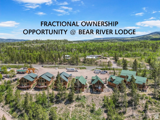 5 Mirror Lake Hwy Unit 5-2, Coalville, UT 84017 - bird's eye view of a forest and a mountainous background