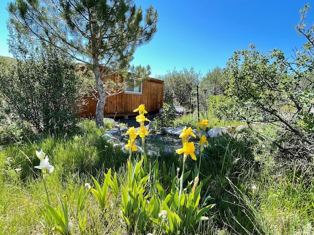 Unit 48, Saint Charles, ID 83272
