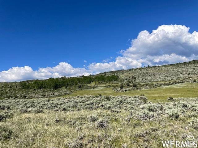 Unit 48, Saint Charles, ID 83272