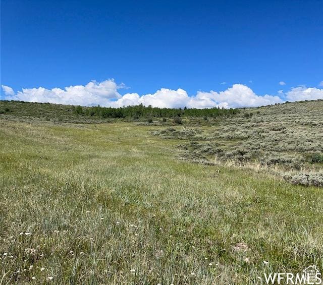 Unit 48, Saint Charles, ID 83272