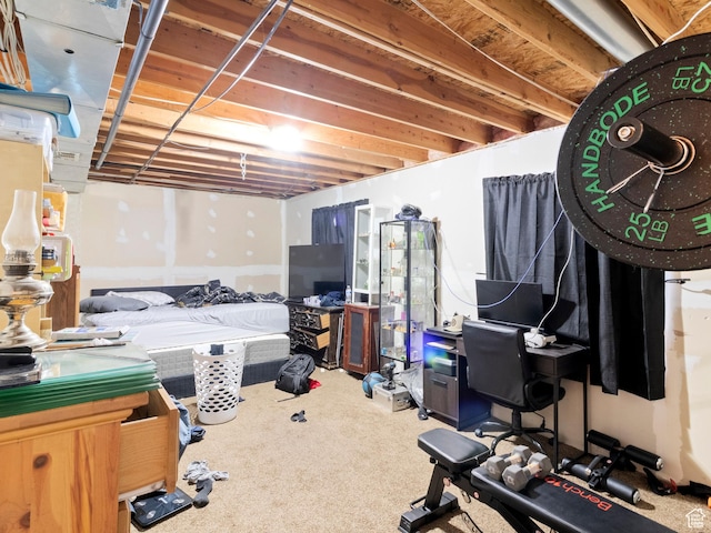3646 S Elk Point Dr, Magna, UT 84044 - unfinished basement with carpet floors